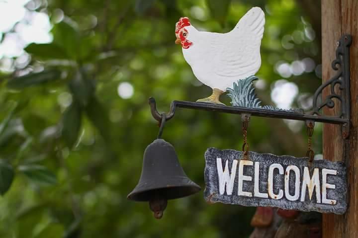 람푼 Baangaimuan B&B 외부 사진