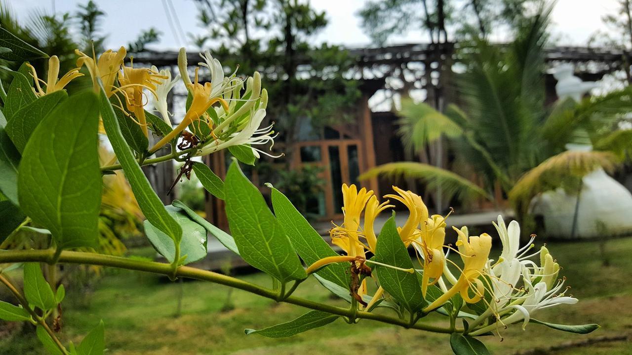 람푼 Baangaimuan B&B 외부 사진